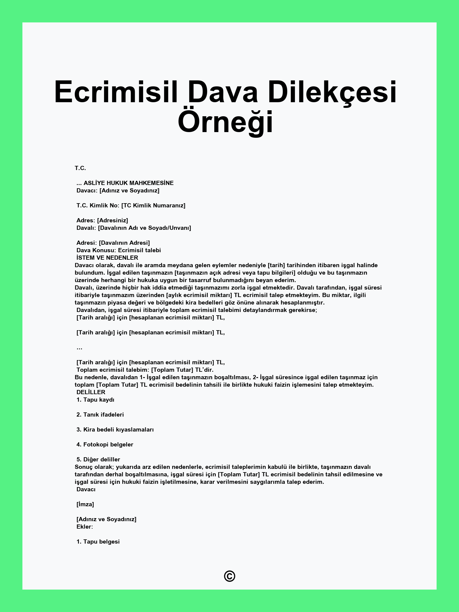 Ecrimisil Dava Dilekçesi Örneği