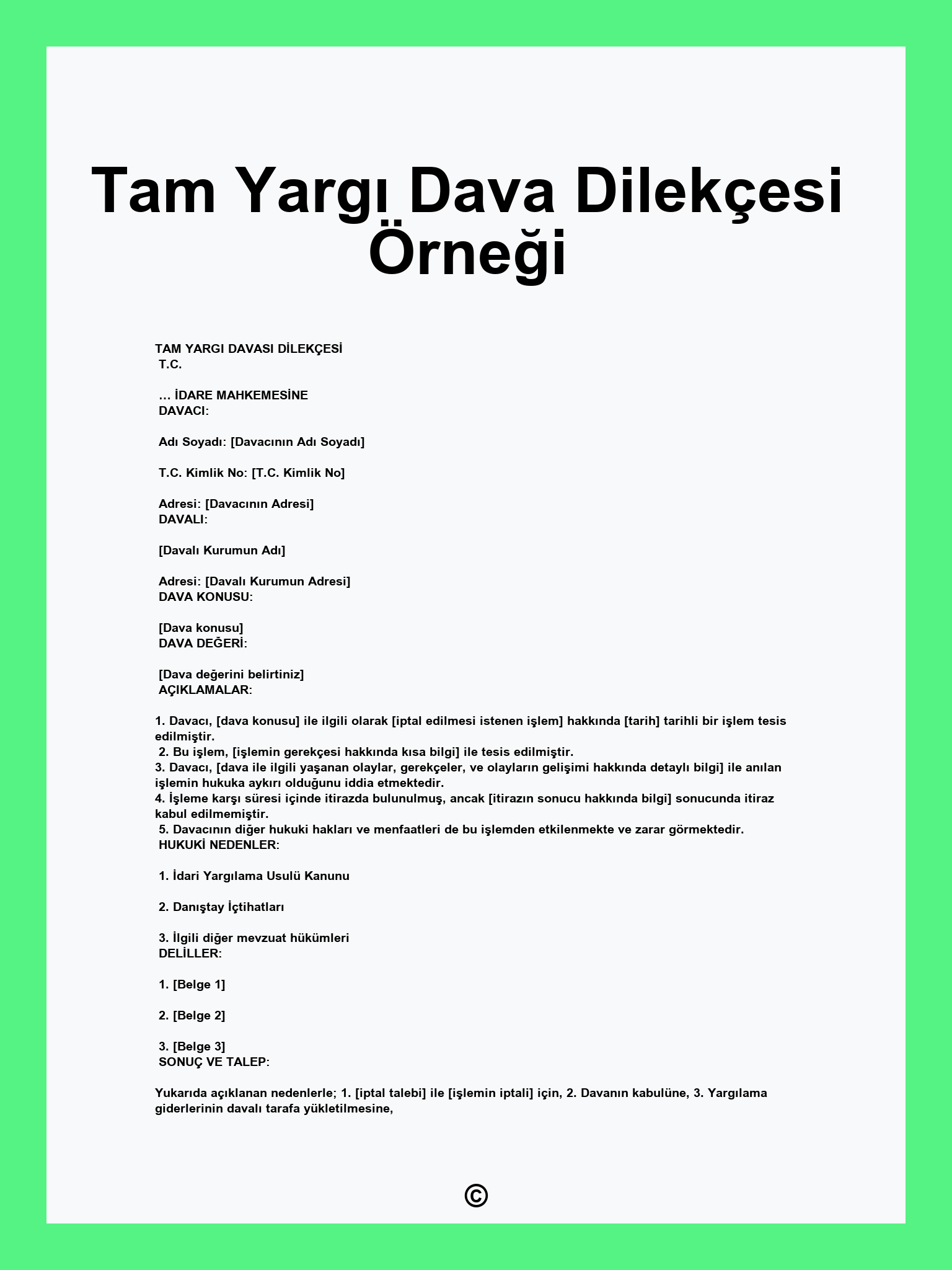 Tam Yargı Dava Dilekçesi Örneği